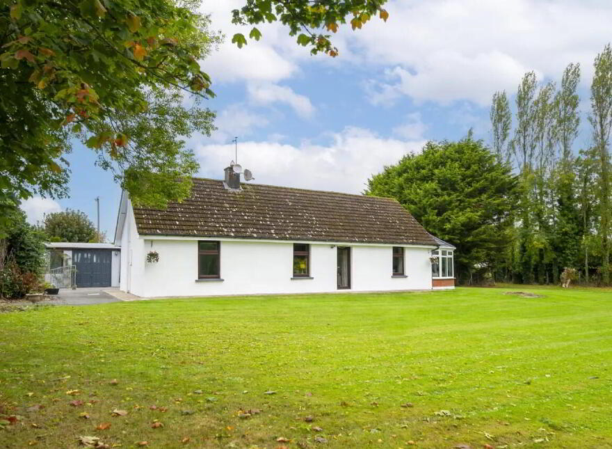 Sheepwalk, West, Fermoy, P61X398 photo