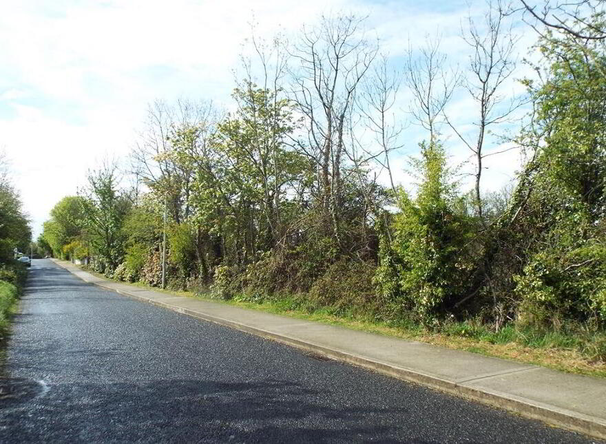 Stradbally, North, Castleconnell