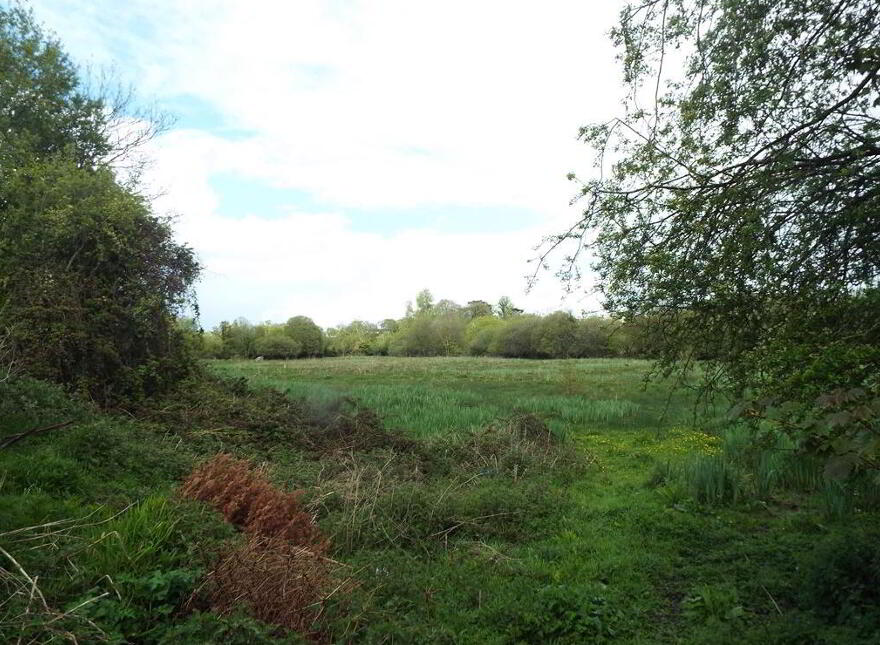 Stradbally, North, Castleconnell