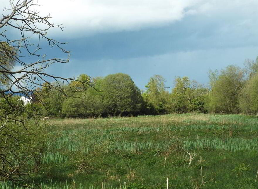 Stradbally, North, Castleconnell