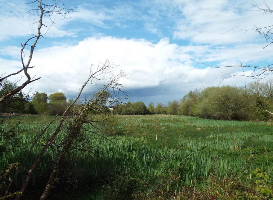 Stradbally, North, Castleconnell
