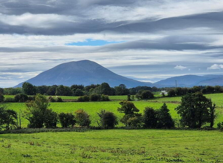 Rappa Ardagh, Ballina, Mayo photo