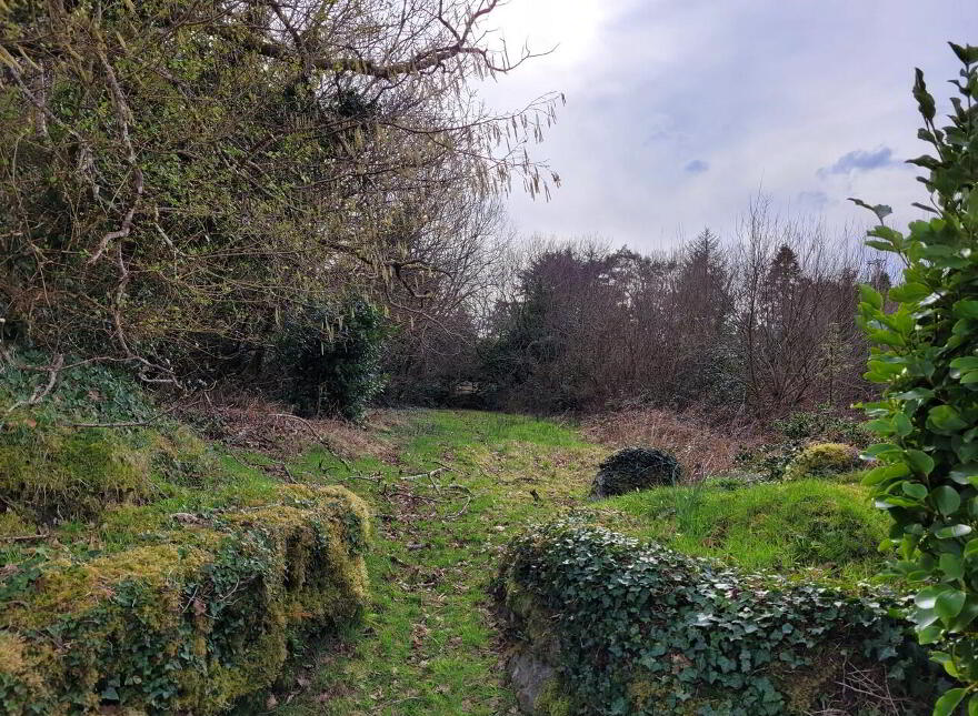 Killeenleagh, Mastergeehy, Waterville, V23RX28