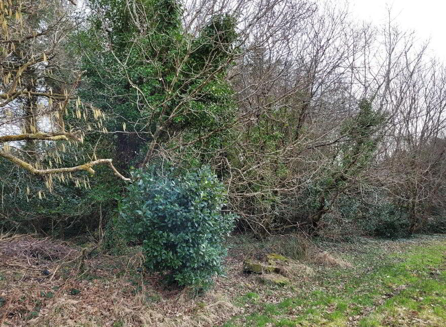 Killeenleagh, Mastergeehy, Waterville, V23RX28