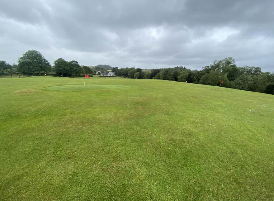 Glenstal Cross, Murroe