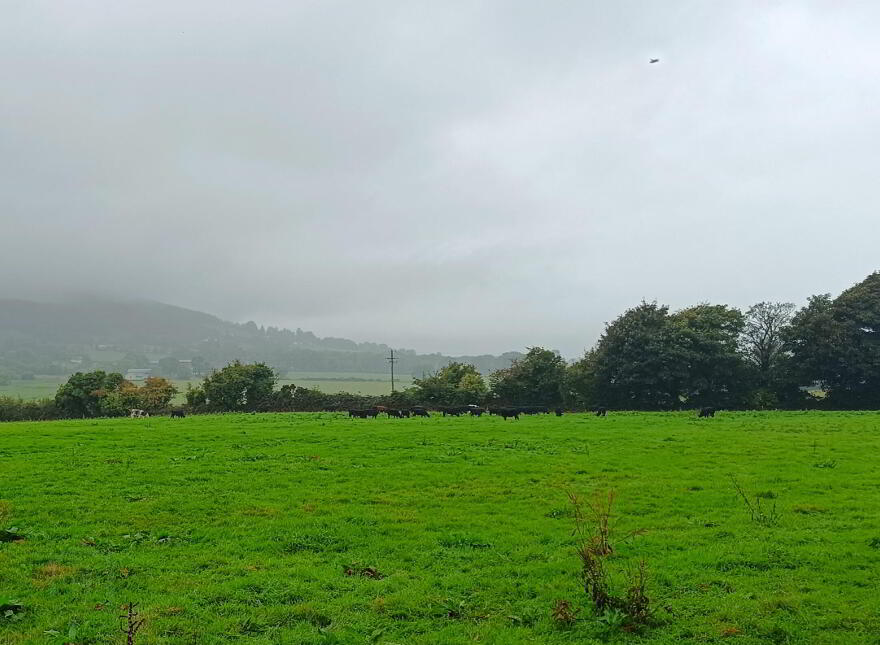 2, C. 43.76 Acres, Ballinacourty, Kilfinane