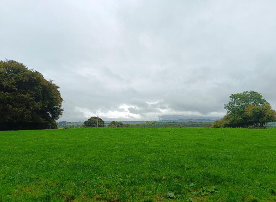 2, C. 43.76 Acres, Ballinacourty, Kilfinane