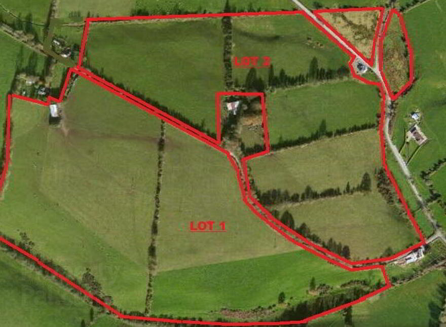 2, C. 43.76 Acres, Ballinacourty, Kilfinane photo