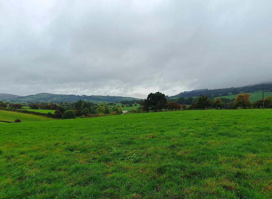 1, C. 51.55 Acres, Ballinacourty, Kilfinane