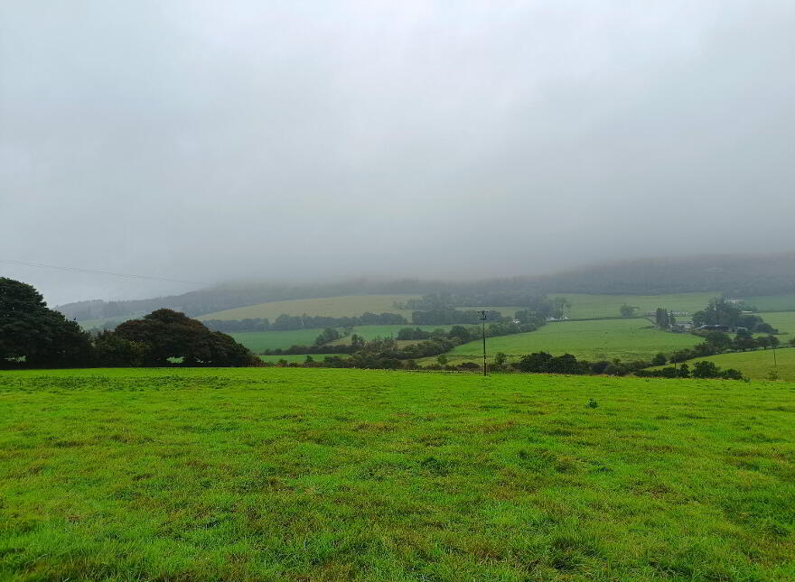 1, C. 51.55 Acres, Ballinacourty, Kilfinane