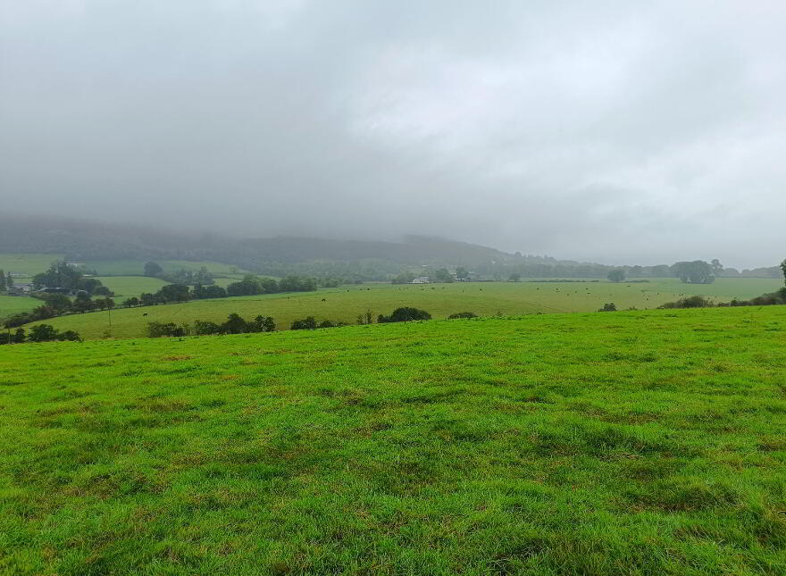 1, C. 51.55 Acres, Ballinacourty, Kilfinane