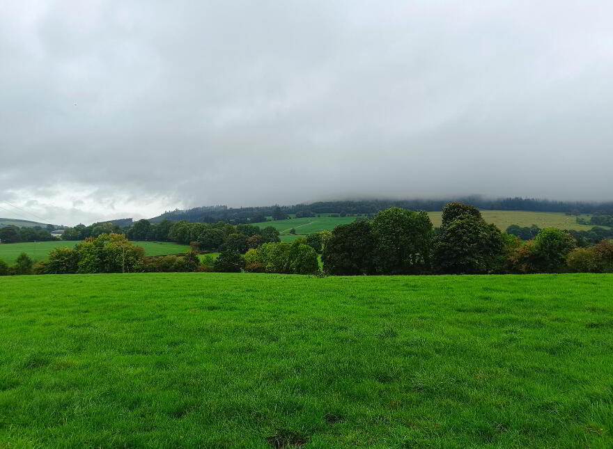 1, C. 51.55 Acres, Ballinacourty, Kilfinane