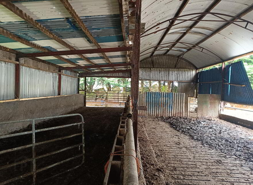 1, C. 51.55 Acres, Ballinacourty, Kilfinane