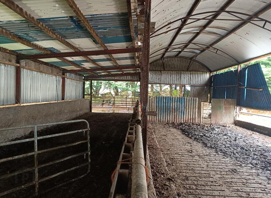 1, C. 51.55 Acres, Ballinacourty, Kilfinane