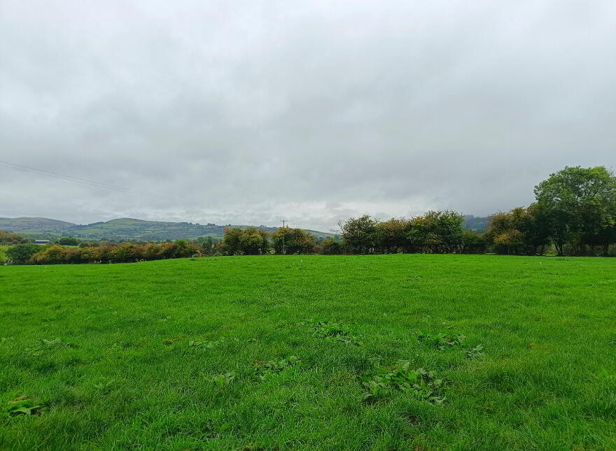 1, C. 51.55 Acres, Ballinacourty, Kilfinane