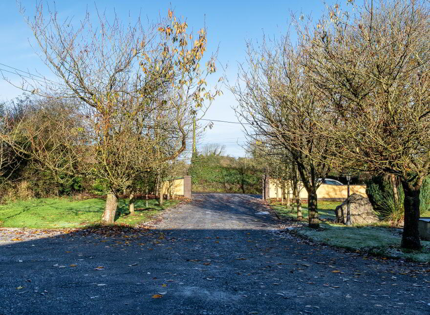 Labaun, Mount Temple, Moate, N37E953