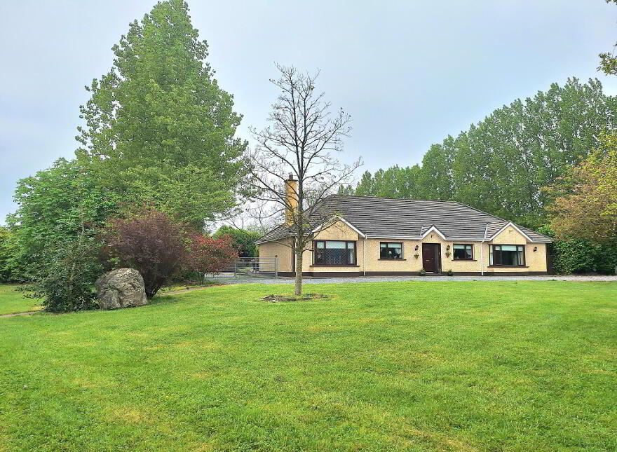 Labaun, Mount Temple, Moate, N37E953 photo