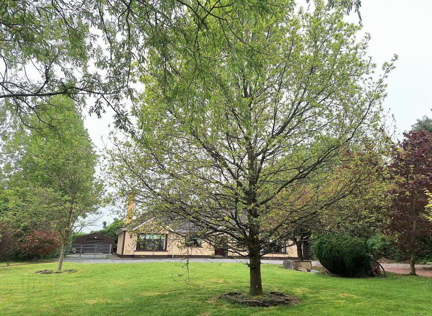 Labaun, Mount Temple, Moate, N37E953