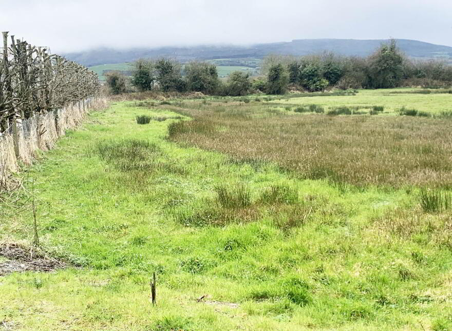 Ballinahown, Kilmallock photo