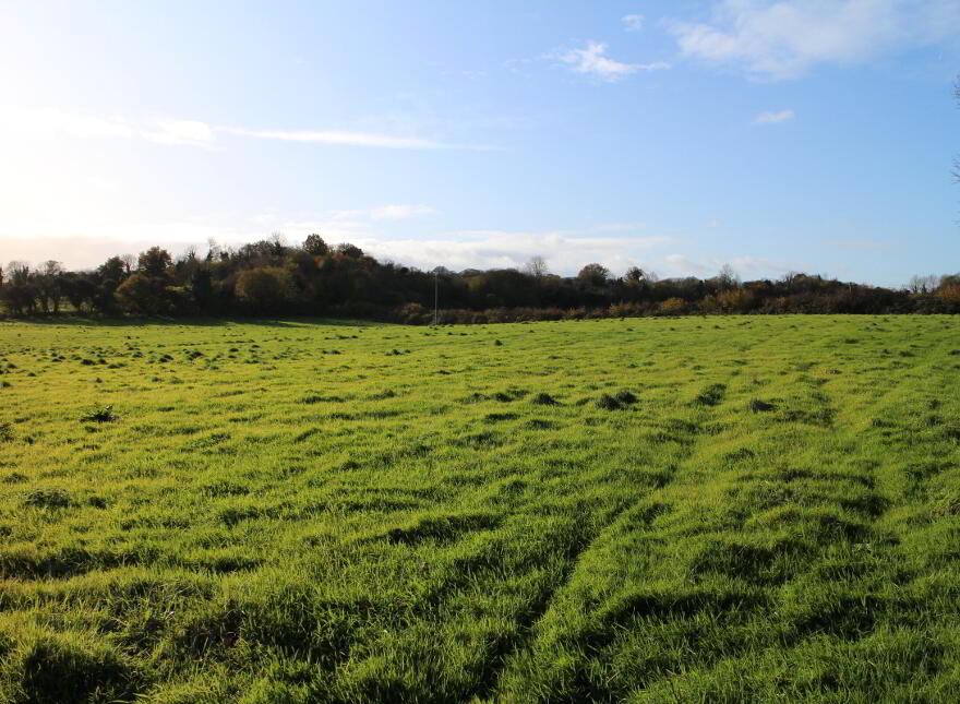 Ballybought, Durrow, Tullamore photo