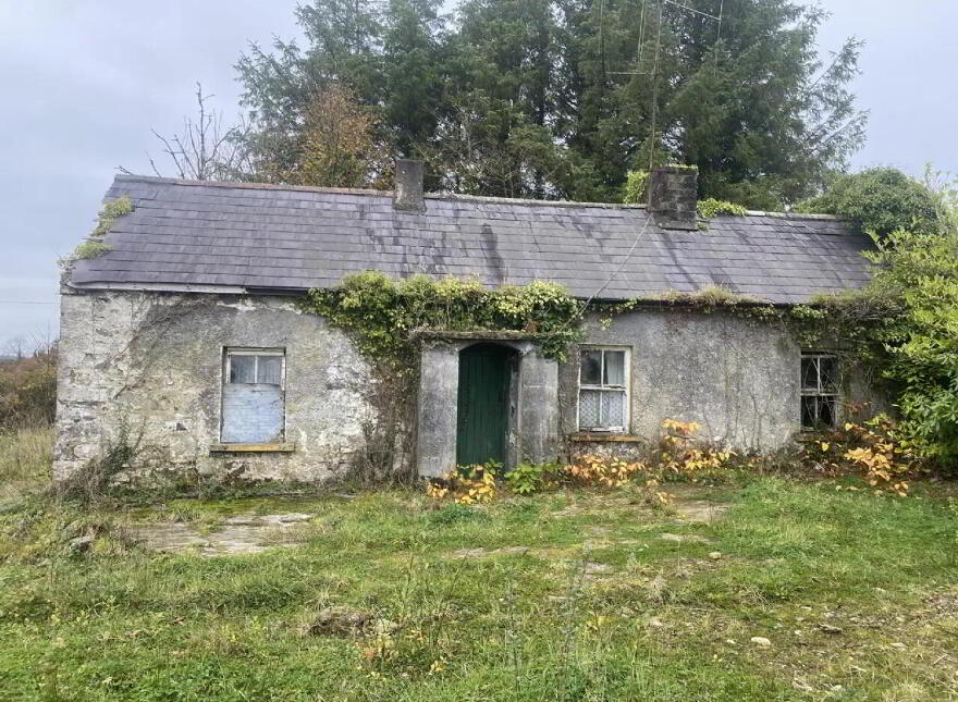 Larkfield, Granard, N39N9R2 photo