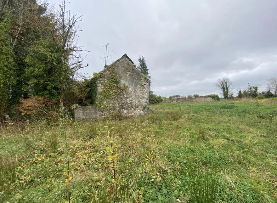 Larkfield, Granard, N39N9R2
