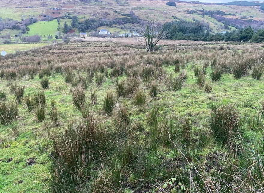 Strasallagh, Glenties, F94V4K4