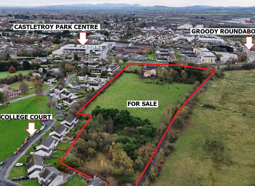 Dromroe House, Plassey Park Road, Castletroy, Limerick