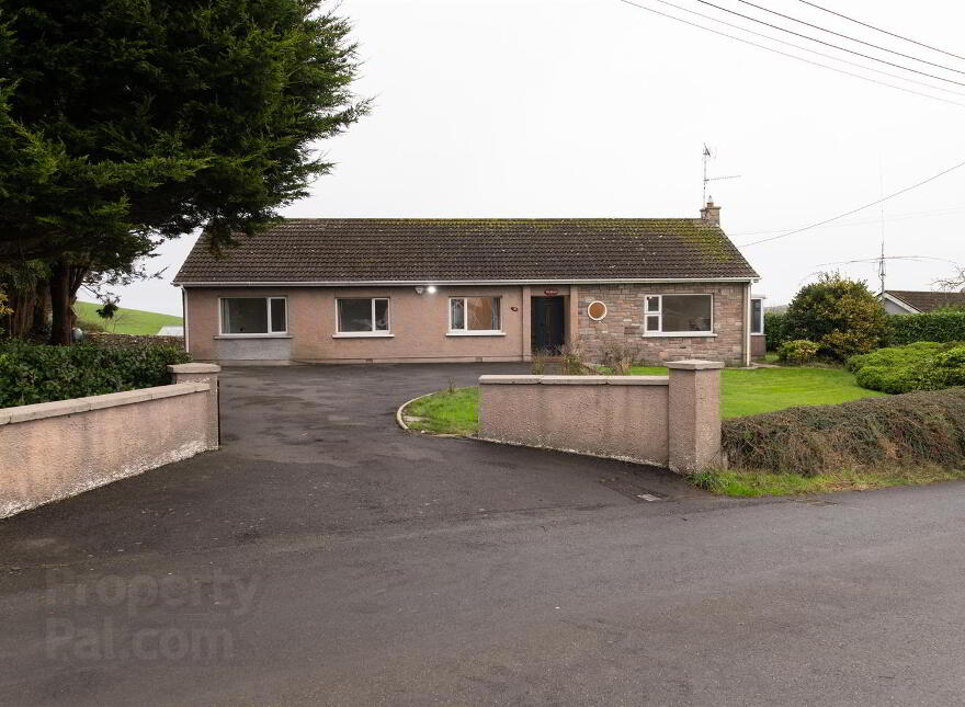 21 Scaddy Road, Downpatrick, BT30 9BW photo