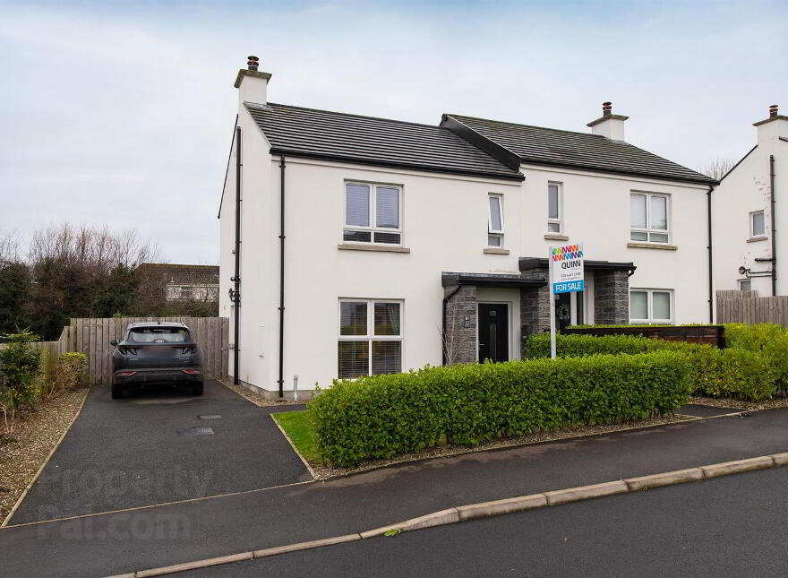 21 Saul Manor, Downpatrick, BT30 6FW photo