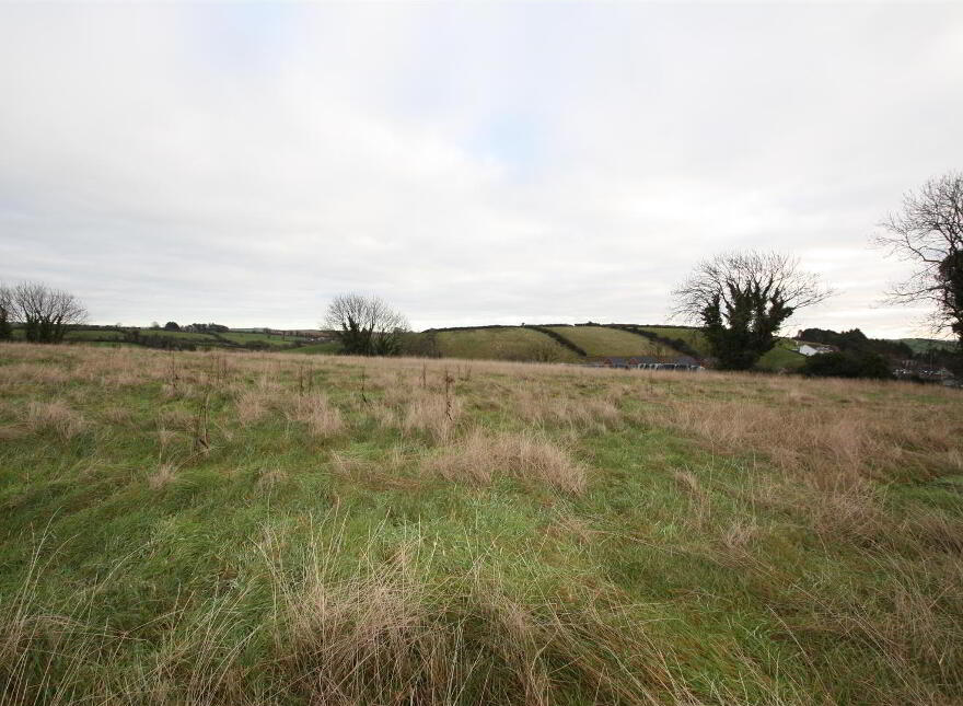 Lands, To The Rear Of, Pheasant Hill, Crossgar Road, Ballynahinch, BT24 photo