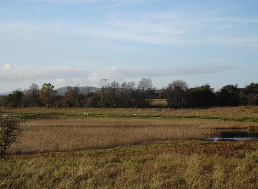 Trannish Island, Lisnaskea, BT92 0EL