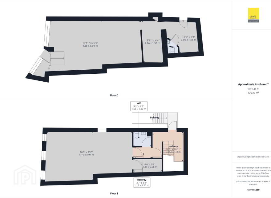 102 Main Street, Carrick-On-Suir, E32X950