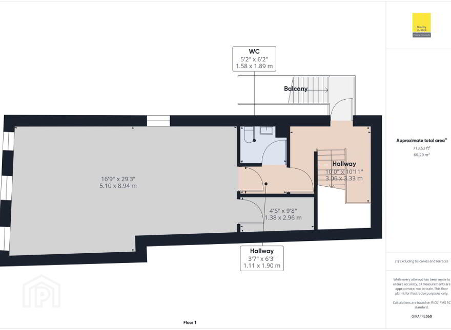 102 Main Street, Carrick-On-Suir, E32X950