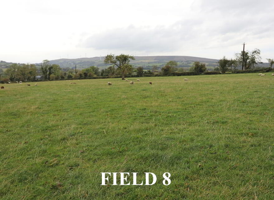 33 Gorse Road, Claudy, BT47 4HY
