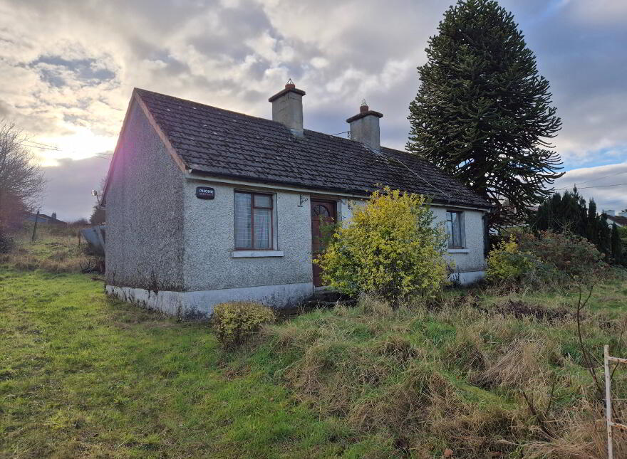 8 Shillelagh Road, Tullow, R93KW59 photo