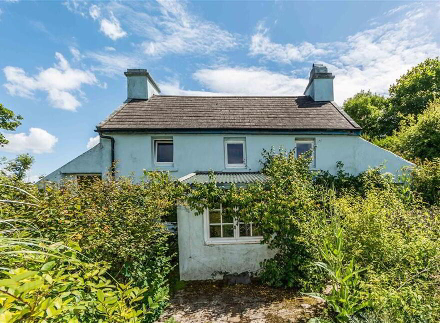 Derreennatra, Schull, West, P81AT04