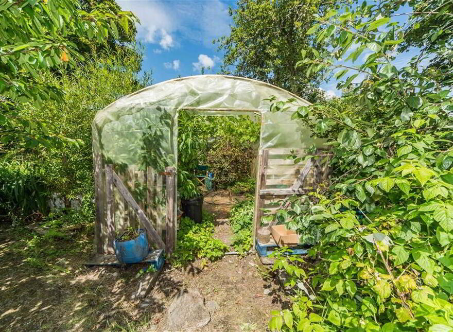Derreennatra, Schull, West, P81AT04