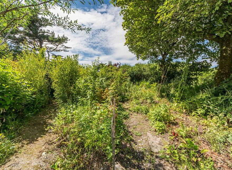 Derreennatra, Schull, West, P81AT04
