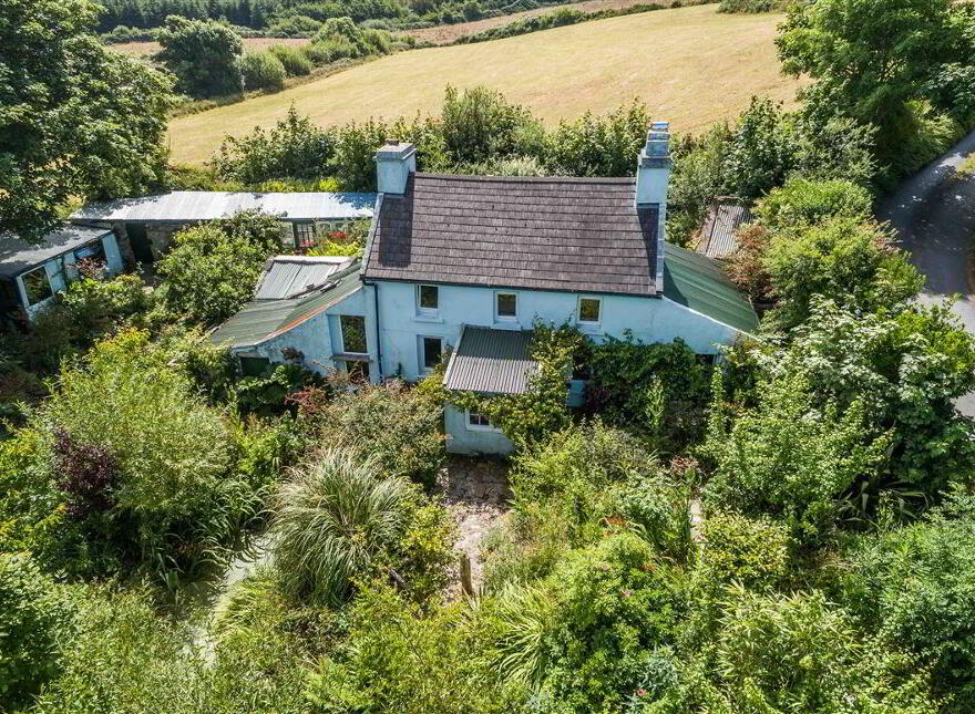 Derreennatra, Schull, West, P81AT04 photo