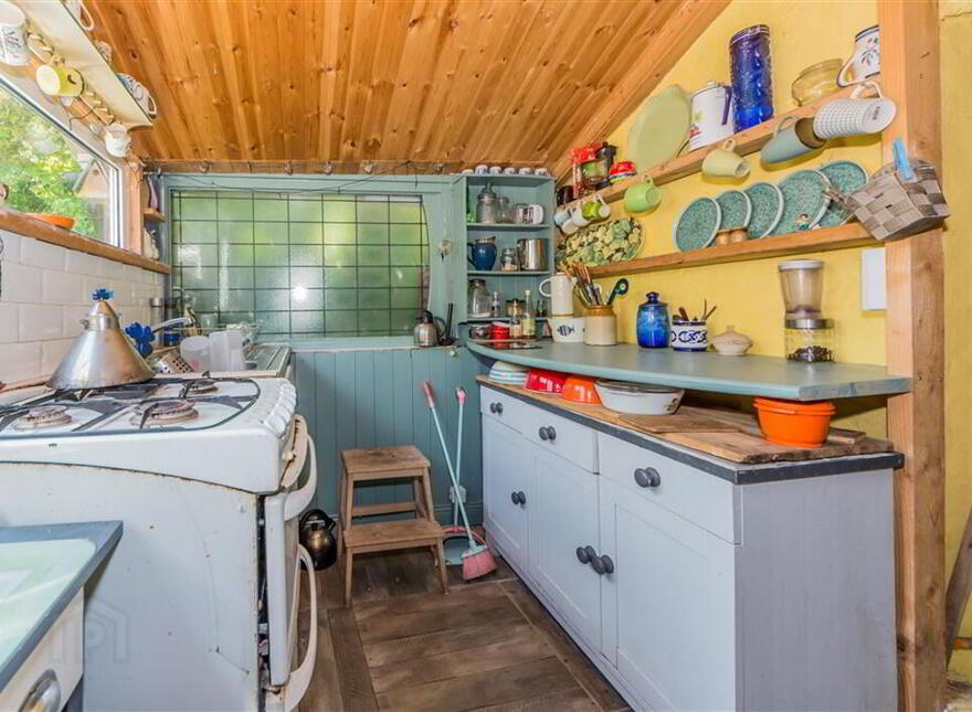 Derreennatra, Schull, West, P81AT04