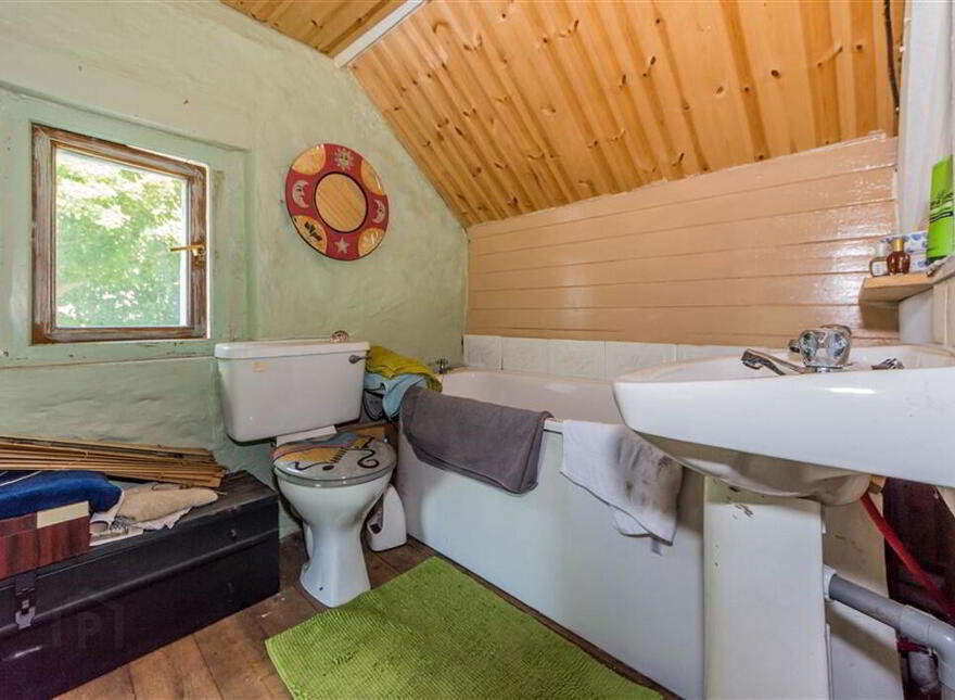 Derreennatra, Schull, West, P81AT04