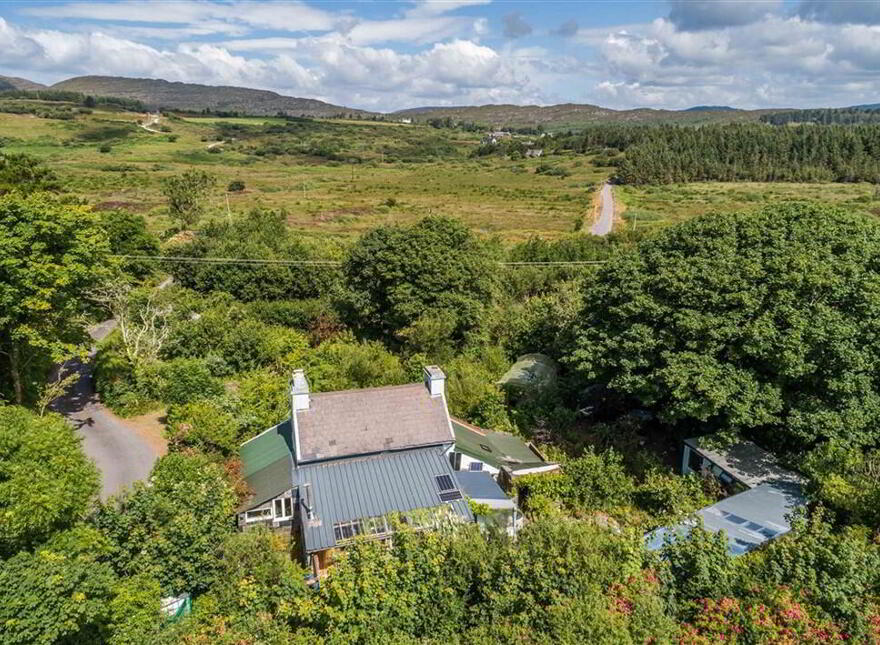 Derreennatra, Schull, West, P81AT04