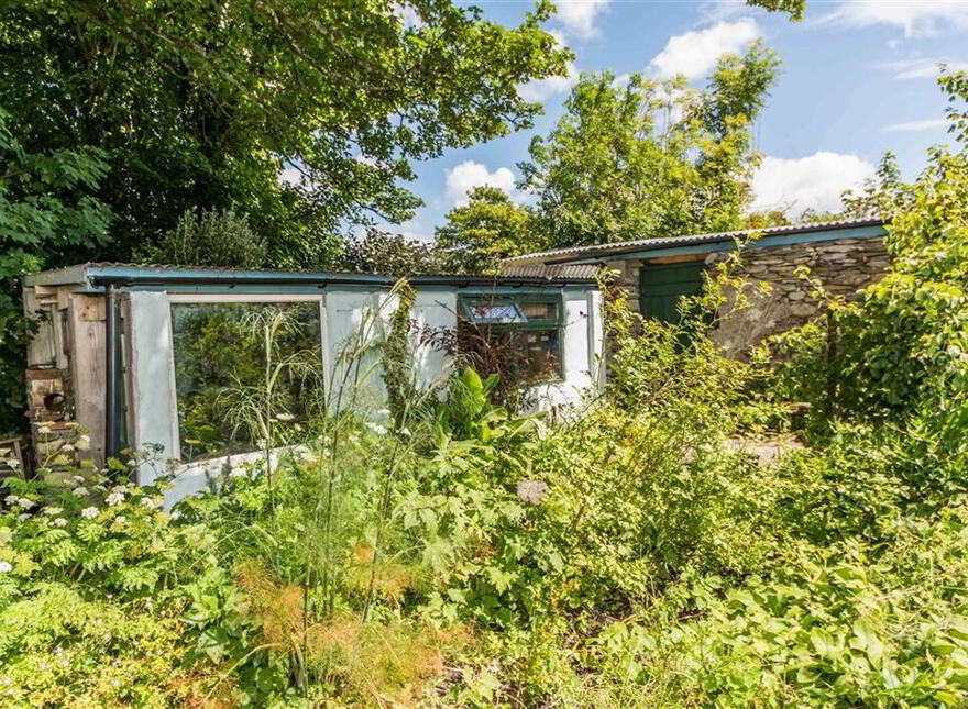 Derreennatra, Schull, West, P81AT04