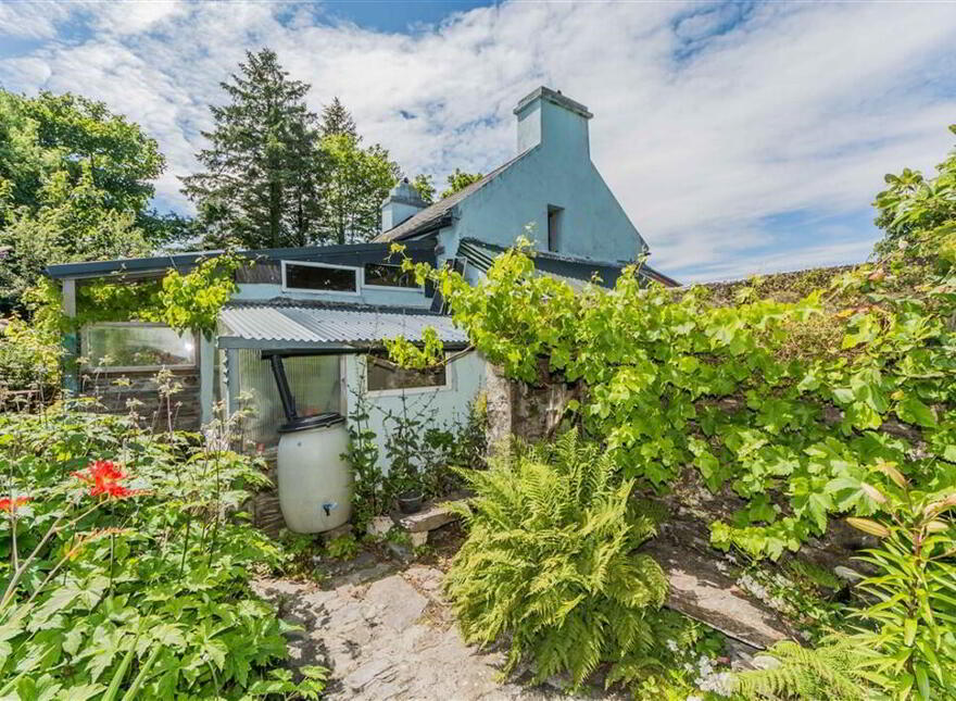 Derreennatra, Schull, West, P81AT04