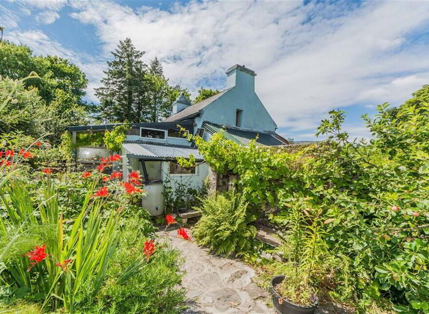 Derreennatra, Schull, West, P81AT04