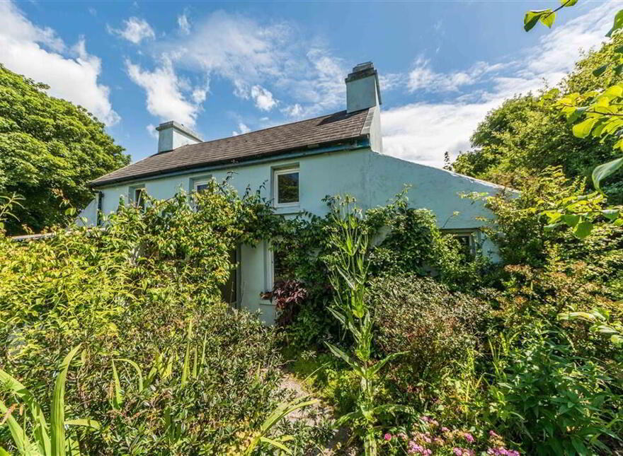 Derreennatra, Schull, West, P81AT04