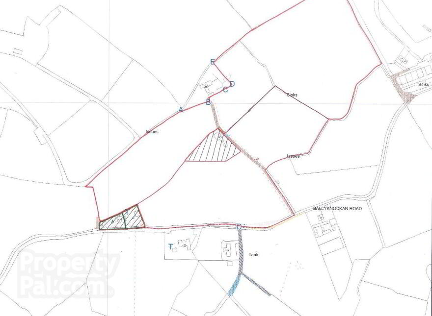 High Quality Arable Lands Adjacent To, 28 & 30 Ballyknockan Road, Ballygowan, BT23 6NR photo