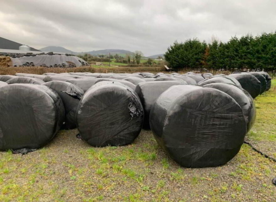 100 Bales Of Silage, Nenagh, E45CP80 photo