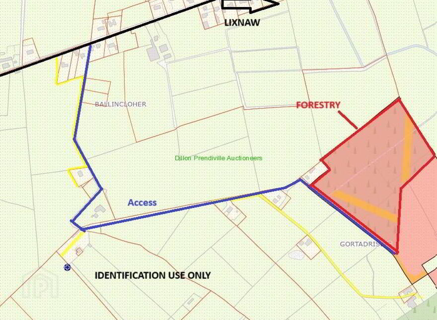 15 ACRES, 6.1 Ha FORESTRY PLANTATION AT GORTADRISLIG, 15 Acres/ 6.1 Ha ...Lixnaw, AT